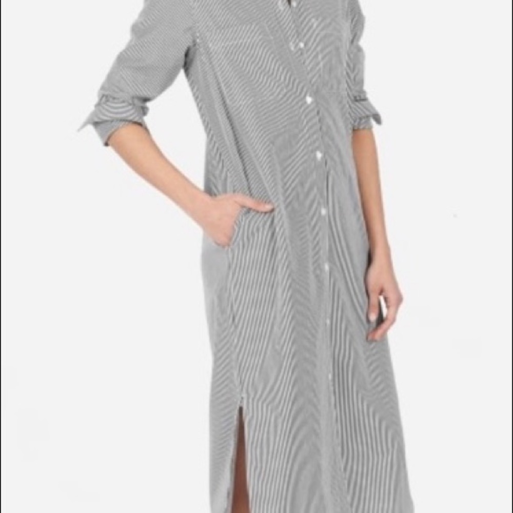 Everlane Shirt Dress